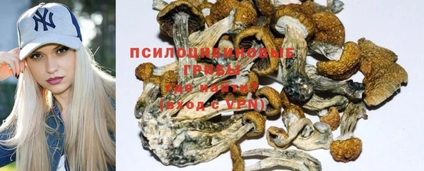 бошки Алзамай