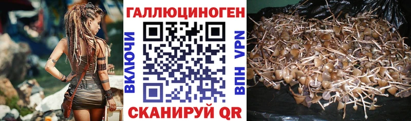 Галлюциногенные грибы Cubensis  Мураши 
