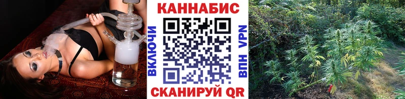 где купить Мураши Конопля Ganja